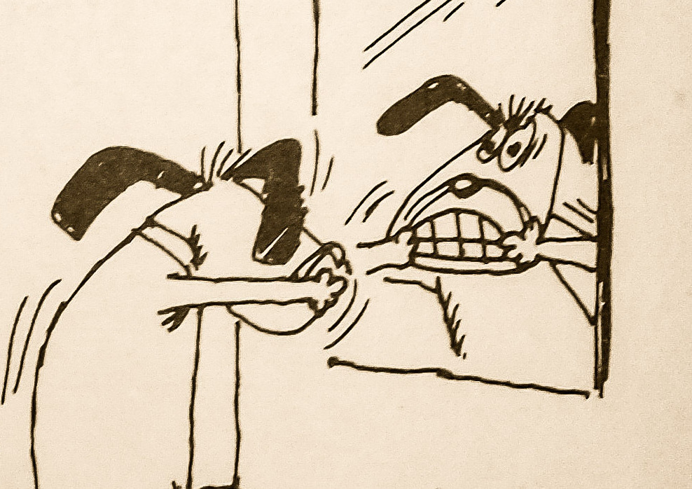 Коррекция поведения собак Коррекция поведения собак